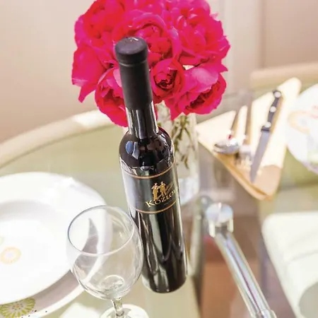 San 公寓 里耶卡